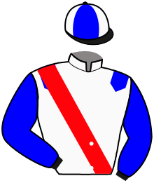 casaque portée par Mekouche Mlle A. jockey du cheval de course MARILOU DE TANUES, information pmu ZETURF