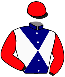 casaque portée par Werle A. jockey du cheval de course ALLURE AREDIENNE, information pmu ZETURF