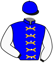 casaque portée par Seguy V. jockey du cheval de course KAYLA DU SOLEIL, information pmu ZETURF