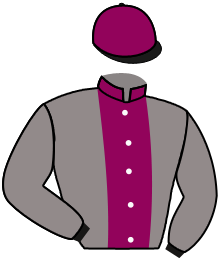 casaque portée par Veron F. jockey du cheval de course HAMAT AL EZZ, information pmu ZETURF