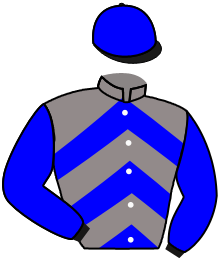 casaque portée par Gutierrez Val A. jockey du cheval de course MOTACILLA, information pmu ZETURF