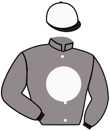 casaque portée par Foulon M. jockey du cheval de course FROMISTA, information pmu ZETURF
