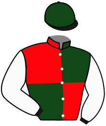 casaque portée par Dubord Rom. jockey du cheval de course NANTMOR, information pmu ZETURF