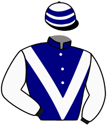 casaque portée par Santiago Mlle D. jockey du cheval de course MAD RIVER, information pmu ZETURF