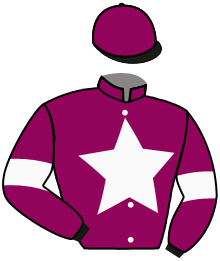 casaque portée par Ailen Rodriguez Mme Eve. jockey du cheval de course RISUENA, information pmu ZETURF