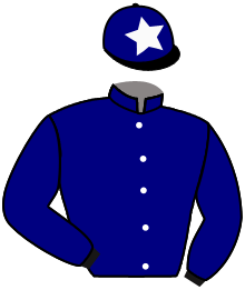 casaque portée par Foulon M. jockey du cheval de course PRINCE OF DAWN, information pmu ZETURF