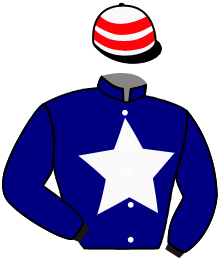 casaque portée par Mouesan H. jockey du cheval de course ABOU, information pmu ZETURF