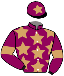 casaque portée par Seguy V. jockey du cheval de course FANTASTIQUE, information pmu ZETURF