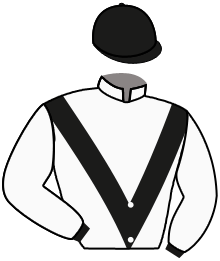 casaque portée par Lefebvre F. jockey du cheval de course TROMPE DE CHASSE, information pmu ZETURF