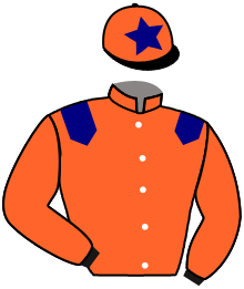 casaque portée par Mangione R. jockey du cheval de course BABY HARTWOOD, information pmu ZETURF