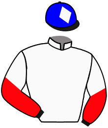 casaque portée par Demuro C. jockey du cheval de course GRAND SCOOP, information pmu ZETURF