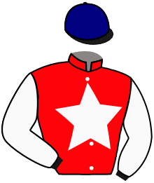 casaque portée par Lemaitre A. jockey du cheval de course BARBADIN, information pmu ZETURF