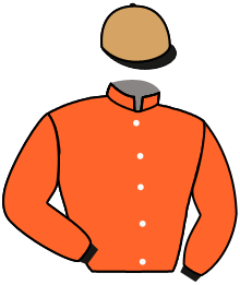 casaque portée par Pouchin A. jockey du cheval de course MOON WOLF, information pmu ZETURF