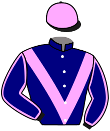 casaque portée par Pouchin A. jockey du cheval de course SANGRE DE DRAGO, information pmu ZETURF