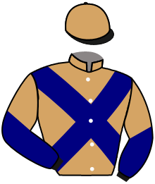 casaque portée par Claudic J. jockey du cheval de course FAITHFUL FRIEND, information pmu ZETURF
