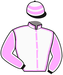 casaque portée par Ladjadj Ste. jockey du cheval de course TAKE ME I'M YOURS, information pmu ZETURF