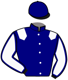casaque portée par Vaudoit M. jockey du cheval de course HACKER MESLOIS, information pmu ZETURF