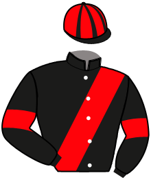 casaque portée par Martin G. jockey du cheval de course IPSOS DE BANVILLE, information pmu ZETURF