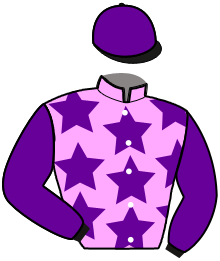 casaque portée par Beaufils Ernault Mme D. jockey du cheval de course HANIELLE CREPIN, information pmu ZETURF
