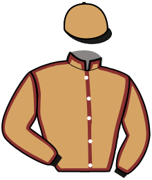 casaque portée par Martin G. jockey du cheval de course JILIKA DU MESLE, information pmu ZETURF