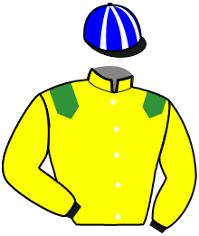 casaque portée par Vaudoit M. jockey du cheval de course KILL THE BLUES, information pmu ZETURF