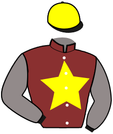 casaque portée par Abrivard M. jockey du cheval de course KIWI DE LAVRIGNAIE, information pmu ZETURF