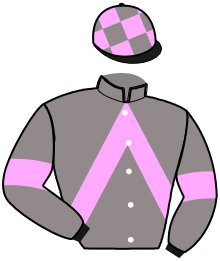 casaque portée par Raffin E. jockey du cheval de course LAGOS, information pmu ZETURF