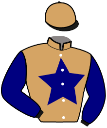 casaque portée par Renault V. Th. jockey du cheval de course MASTER DU CHATELET, information pmu ZETURF