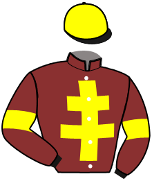 casaque portée par Le Drean L. jockey du cheval de course MIRAGE MAGIC, information pmu ZETURF