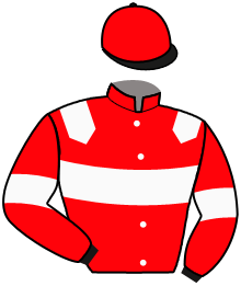 casaque portée par Corbin M. jockey du cheval de course HORYVIL DES MOYEUX, information pmu ZETURF