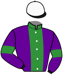 casaque portée par Hergno Mme M. jockey du cheval de course IBIS DU LYS, information pmu ZETURF