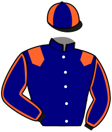 casaque portée par Mouraud Arm. jockey du cheval de course HECATE DU DOLLAR, information pmu ZETURF