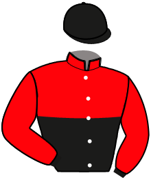 casaque portée par Grimault D. jockey du cheval de course INGLORIOUS, information pmu ZETURF