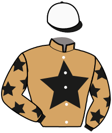 casaque portée par His Mme L. jockey du cheval de course WINGAIT HENKE, information pmu ZETURF