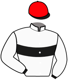 casaque portée par Mottier M. jockey du cheval de course LORD EOLE, information pmu ZETURF