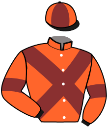 casaque portée par Nivard F. jockey du cheval de course LORD SAINT MARTIN, information pmu ZETURF
