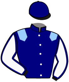 casaque portée par Baude S. jockey du cheval de course LUCIANO ROYAL, information pmu ZETURF