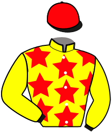 casaque portée par Duveau Max. jockey du cheval de course LAGO DE PERVENCHE, information pmu ZETURF