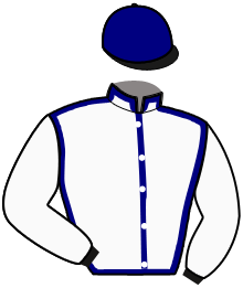casaque portée par Hardy S. jockey du cheval de course LOLITA DES LANDES, information pmu ZETURF