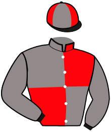 casaque portée par Gendrot A. jockey du cheval de course LOUXOR DE JOUB, information pmu ZETURF