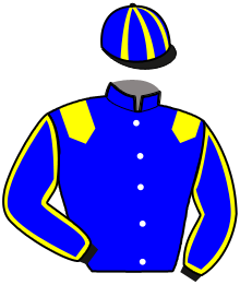 casaque portée par Lecanu F. jockey du cheval de course MY DREAM DU GRAIS, information pmu ZETURF