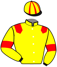 casaque portée par Thonnel Mlle C. jockey du cheval de course ILARIO DU MAINE, information pmu ZETURF