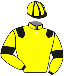 casaque portée par Cinier N. jockey du cheval de course JOE TEJY, information pmu ZETURF