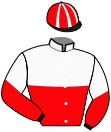 casaque portée par Thonnerieux R. jockey du cheval de course KISS THE MOON, information pmu ZETURF