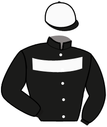 casaque portée par Depuydt Kri. jockey du cheval de course HELIA DE BRUYERE, information pmu ZETURF