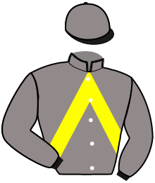 casaque portée par Devienne K. jockey du cheval de course FEMTO DE VAUVERT, information pmu ZETURF