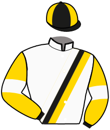 casaque portée par Feron J. Ch. jockey du cheval de course GREAT OF MADRIK, information pmu ZETURF
