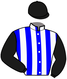 casaque portée par Ensch N. jockey du cheval de course HUDO DU RUEL, information pmu ZETURF