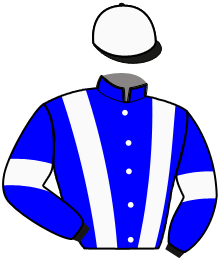 casaque portée par Grelin Mme Vér. jockey du cheval de course JACKPOT DE MAHEY, information pmu ZETURF