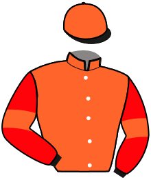 casaque portée par Blanchetiere Mme S. jockey du cheval de course IPOTEK, information pmu ZETURF